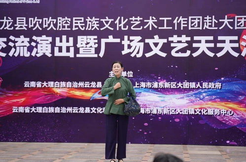 云龍吹吹腔藝術之花綻放大團鎮，兩地文化藝術交流譜新篇